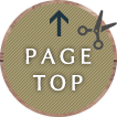 Page Top